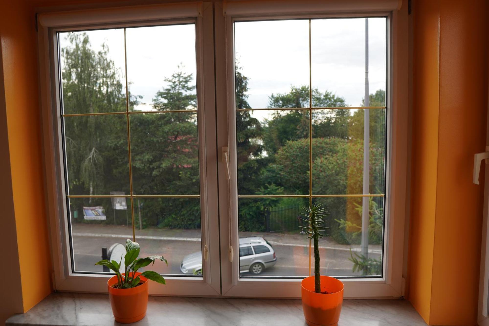 Agroturystyka Willa Ola Giewartów 部屋 写真